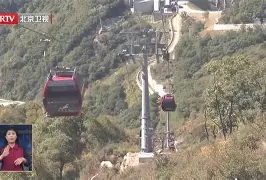 波尔图vs沙维什