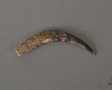 ??驖7?廯獐k???-?z?铋CfT?йI籩^?恅漴<枺=r獀菔茬駴?]際(獐的意思是什么?)